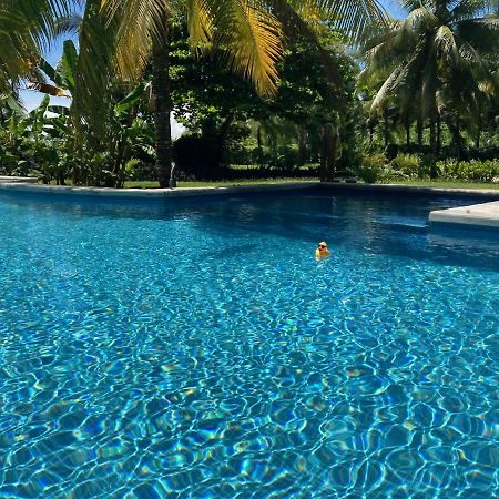 Sand Dollar Beach Bed & Breakfast Bocas del Toro Esterno foto