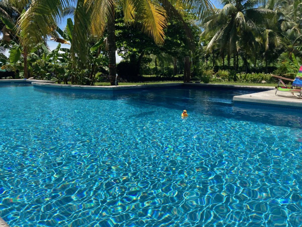 Sand Dollar Beach Bed & Breakfast Bocas del Toro Esterno foto
