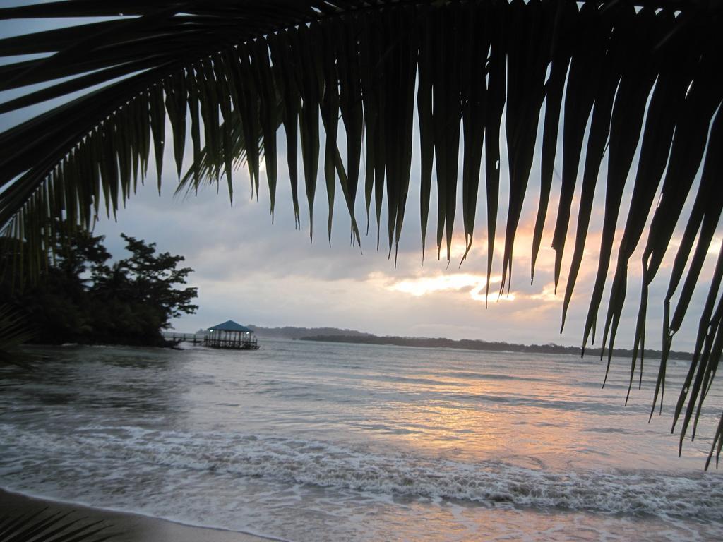Sand Dollar Beach Bed & Breakfast Bocas del Toro Esterno foto
