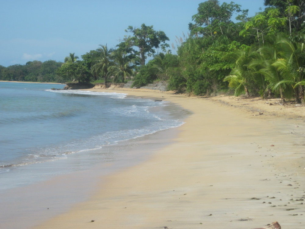 Sand Dollar Beach Bed & Breakfast Bocas del Toro Esterno foto