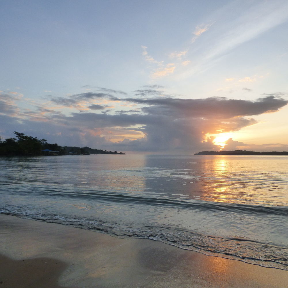 Sand Dollar Beach Bed & Breakfast Bocas del Toro Esterno foto